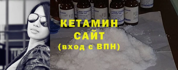 гидра Инта
