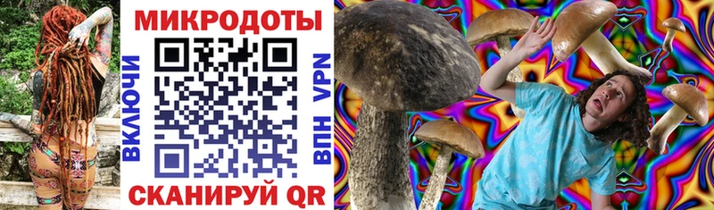 Псилоцибиновые грибы Psilocybine cubensis  Купить где  Вуктыл 